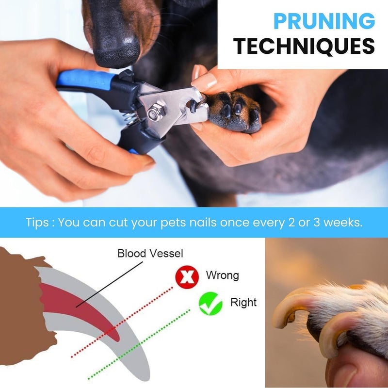 Buraq Grooming Kit for Dogs and Cats with Self Cleaning Slicker Brush Nail Clipper and Nail Filer for Shedding Tangles and Hair Removal Ideal for Long and Short Hair Breeds (Multi Color) - Image 3