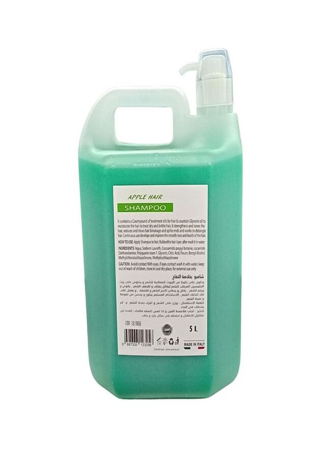 OZMA PROFESSIONAL OZMA Moisturizing Hair Shampoo Improved Formula | Cleansing and Energizing | For ALL Hair Types Aloe Vera Extract 5L - Image 2