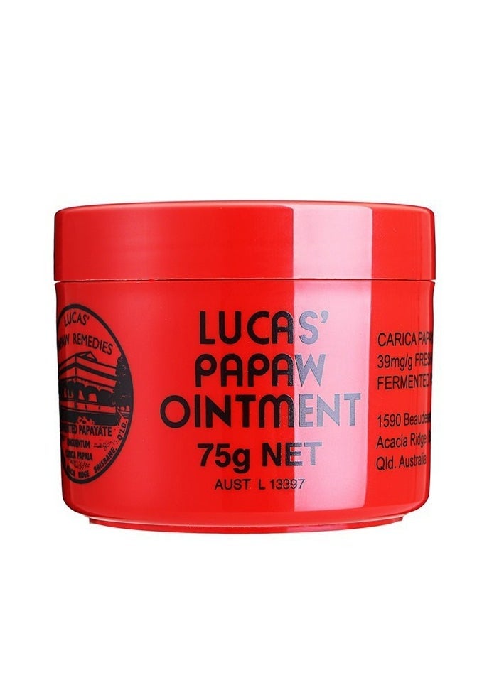 Lucas Papaw Lip Moisturizing Ointment ,Lip Care Moisturizer papaya Shine 75 grams - Image 1