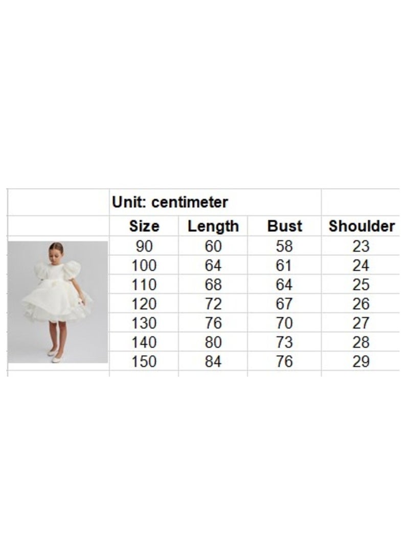 D'Daniela Tulle Ruffle Dress - Image 4