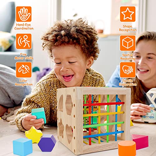 HELLOWOOD Montessori Toys for 1+ Year Old, Wooden Sorter Cube with 8pcs Rattling Shapes, Developmental Learning Toy Gifts for Baby Toddler Boys Girls, Gift Packaging - Image 5