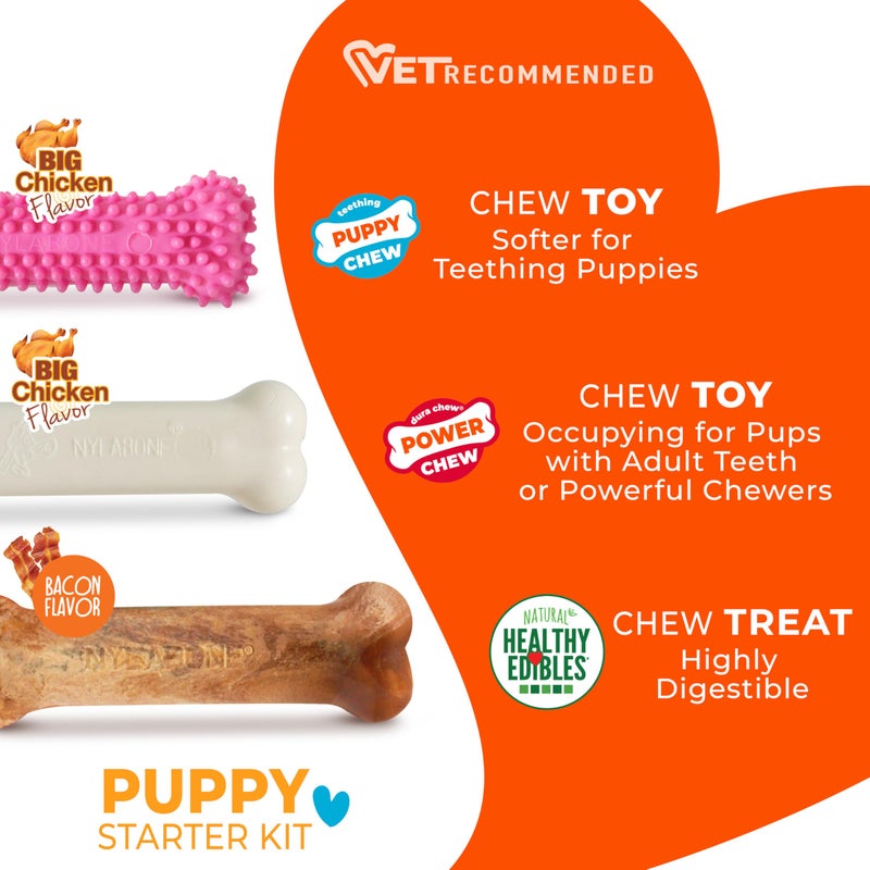 Nylabone Puppy Chew Toys & Natural Treat Triple Pack, Puppy Enrichment Teething Toys, Pink, Chicken & Bacon Flavor, Small Dogs - Up to 25 Ibs, 3 Pack - Image 4