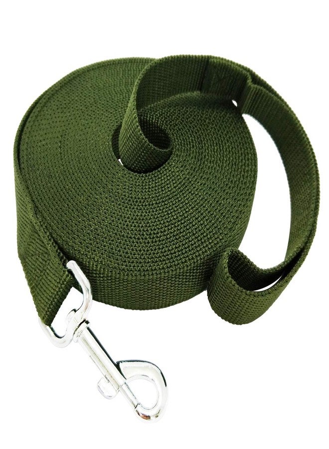 TAIDA 20ft 30ft 40ft 50ft Nylon Long Training Dog Leash for Small Medium Large Dogs, Long leashes Dog/Puppy Lead for Obedience Recall Training, Camping, or Backyard, 1 inch Wide (30 Foot, Green) - Image 1