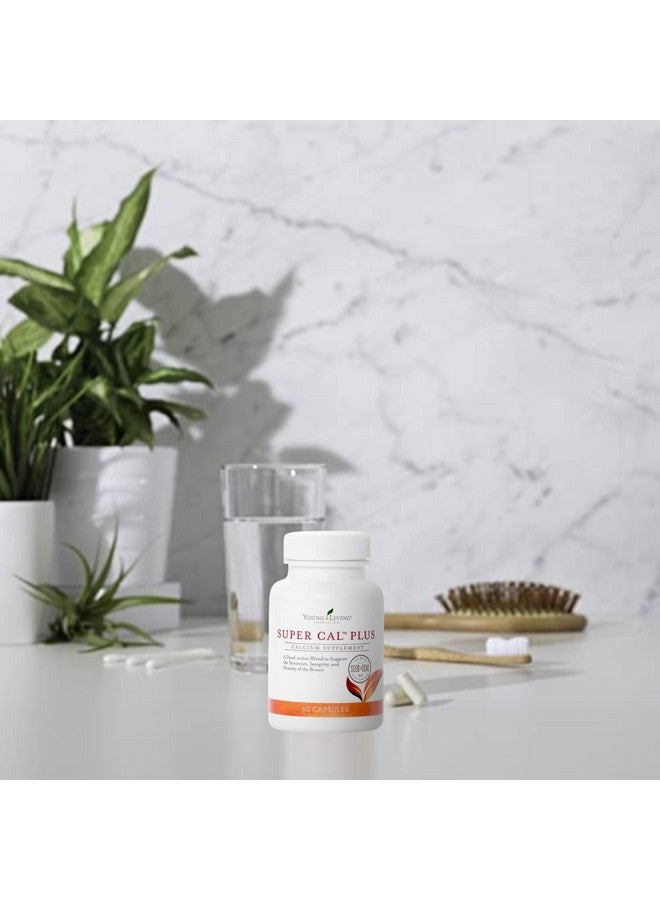 Young Living - Super Cal Plus 60 Capsules | Calcium Mineral Bone Health Supplement | Synergistic Blend of Magnesium, Vitamins D & K | Essential Nutrients - Image 2