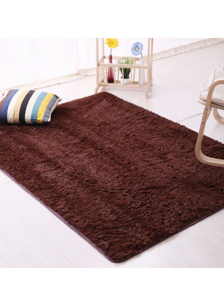 Loquat Squality Polyester Fiber Rectangular Minimalist Long Hair Carpet