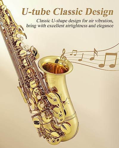 Eastar Professional Alto Saxophone Golden E Flat Eb with Cleaning Kit, Carrying Case, Mouthpiece, Neck Strap, Reeds, Stand, AS-Ⅲ - Image 5