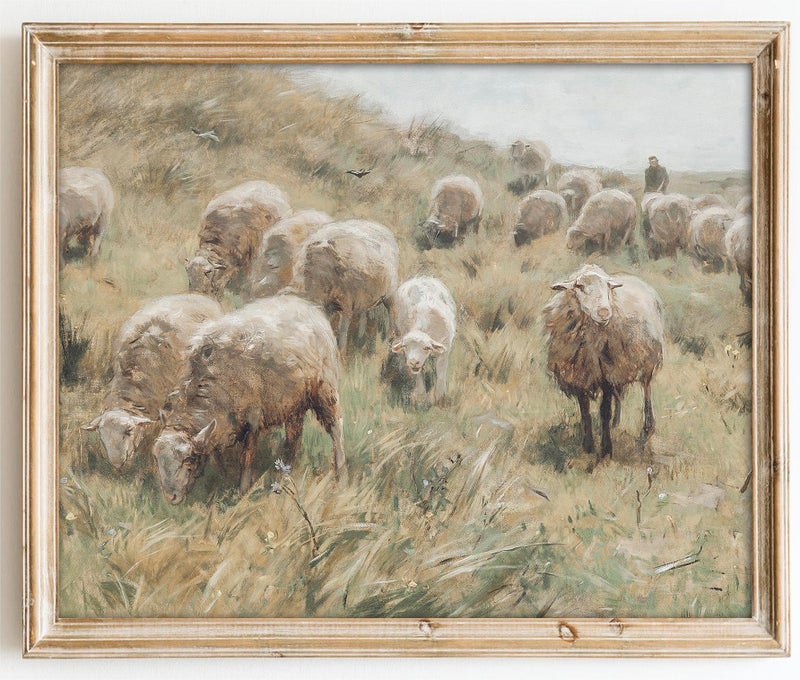 Kizbok Vintage Wall Art  Vintage Art Prints for Wall Decor Farmhouse Wall Art Sheep Canvas Painting  Vintage Wall Pictures for Gallery Kitchen Wall Decor  Bathroom Decor Wall Art(8"" x 10""-UNFRAMED) - Image 1