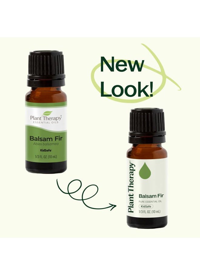 Plant Therapy - Balsam Fir Essential Oil 10 mL (1/3 oz) Fresh Forest Scent, 100% Pure, Undiluted, Therapeutic Grade - Image 1