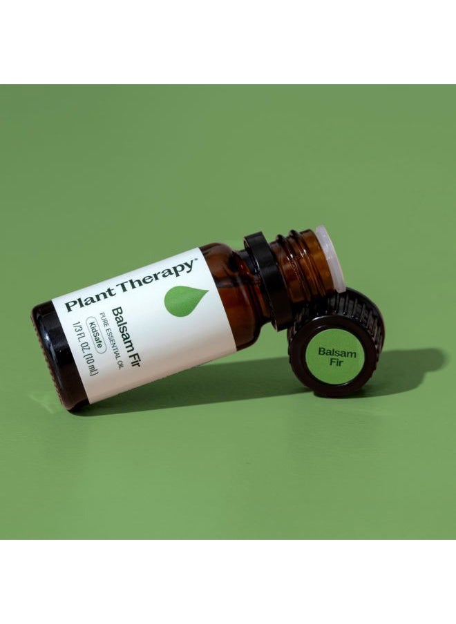 Plant Therapy - Balsam Fir Essential Oil 10 mL (1/3 oz) Fresh Forest Scent, 100% Pure, Undiluted, Therapeutic Grade - Image 1