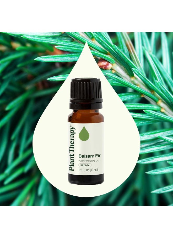 Plant Therapy - Balsam Fir Essential Oil 10 mL (1/3 oz) Fresh Forest Scent, 100% Pure, Undiluted, Therapeutic Grade - Image 1