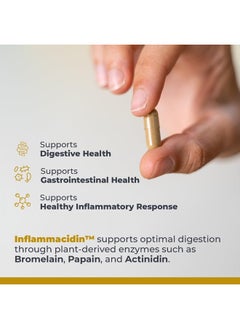 Inflammacidin - Supports GI & Digestive Health* - Enzymes for Digestion - Vegan & Organic Ingredients - 90 Plant-Source Capsules - pzsku/Z0204AEADD077A8C07033Z/45/_/1740987040/fa21c421-da93-4106-97da-e3ce56a320a9