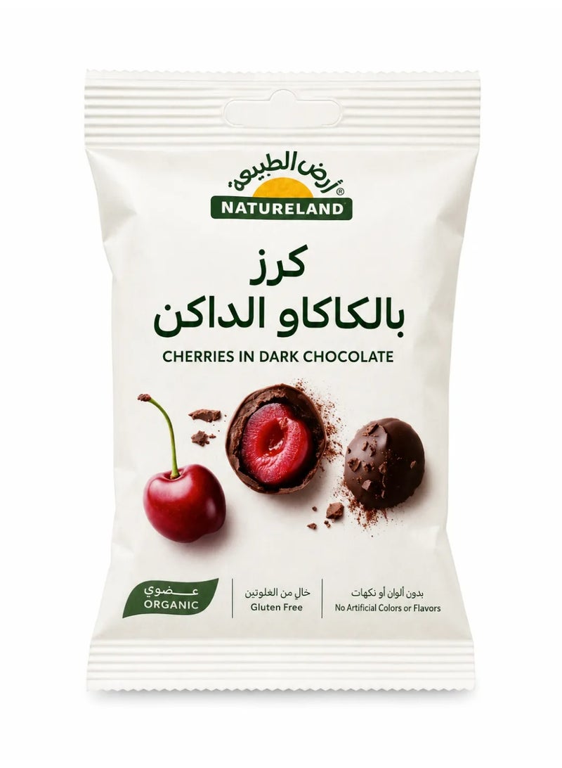 Cherries in Dark Chocolate 45g
