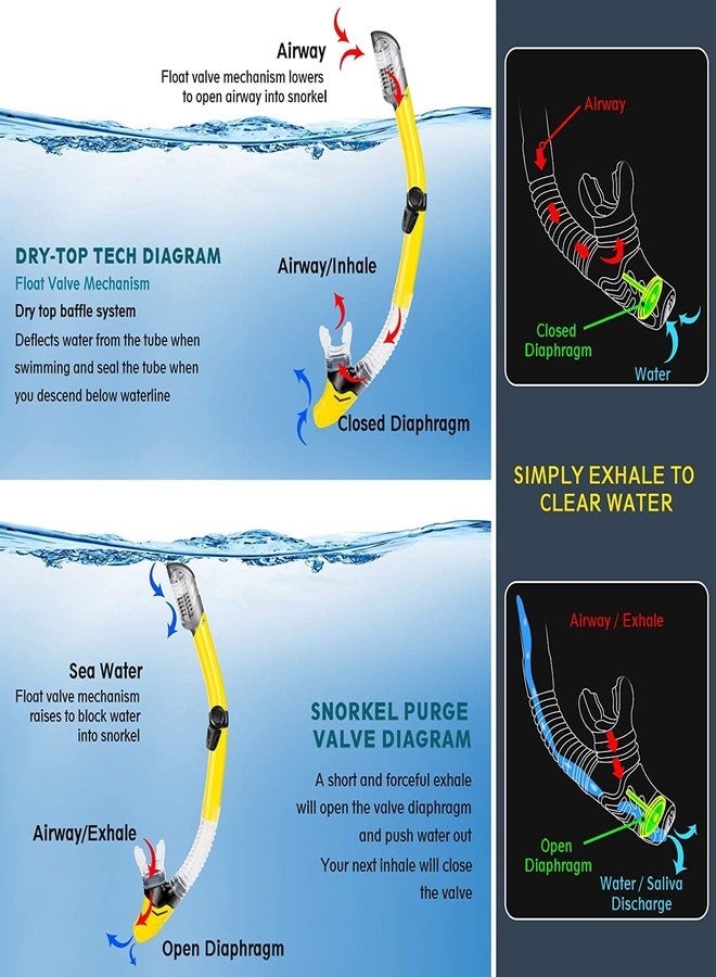 VBM 3 PCS Adult Snorkeling Kit Swimming Goggles Dry Snorkel Tube Adjustable Fins (yollow) - Image 5
