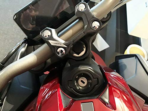 labelbike 3D Stickers Motorcycle Steering Plate Fork and Ignition Key Zone Protection and Decoration in Resin Compatible with Honda CB650R - Image 1