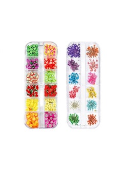 Sinen 1 Box Dried Flowers And 1 Box Fruit Slices For Nail Art 3D Dry Flowers Nail Stickers Colorful Natural Real Flower Nail Decals Fruit Fimo Slices Charms Nail Art Supplies Slime Accessories For  - Image 1