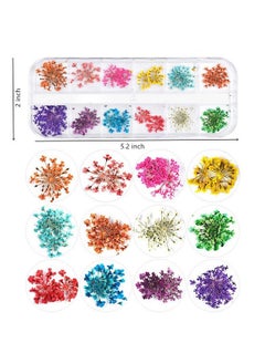 Sinen 1 Box Dried Flowers And 1 Box Fruit Slices For Nail Art 3D Dry Flowers Nail Stickers Colorful Natural Real Flower Nail Decals Fruit Fimo Slices Charms Nail Art Supplies Slime Accessories For  - Image 3