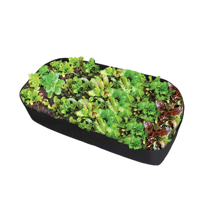 Feitore Fabric Raised Garden Bed, 2ft x 4ft Garden Grow Bags Planting Bed Rectangle Garden Containers for Vegetables Plants Flowers Outdoor - Image 1