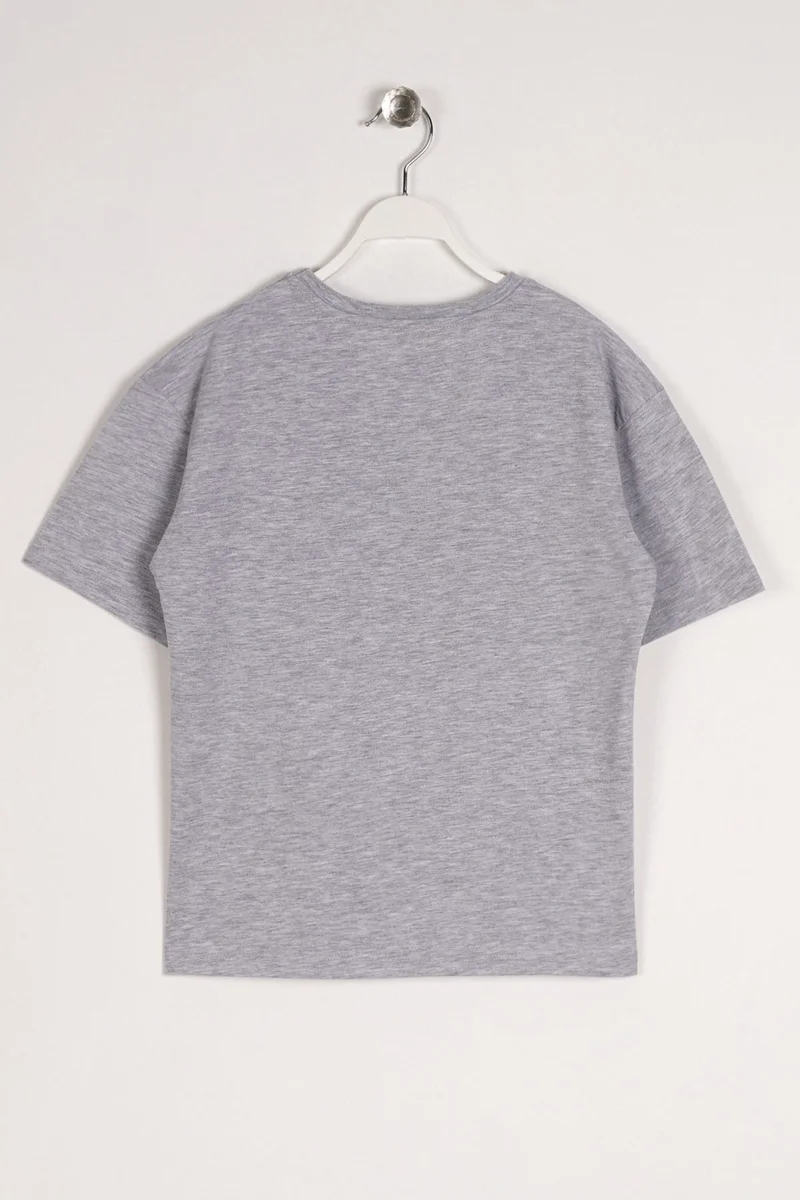 Zepkids Boy Grey Melange Color Timeless Printed T-Shirt