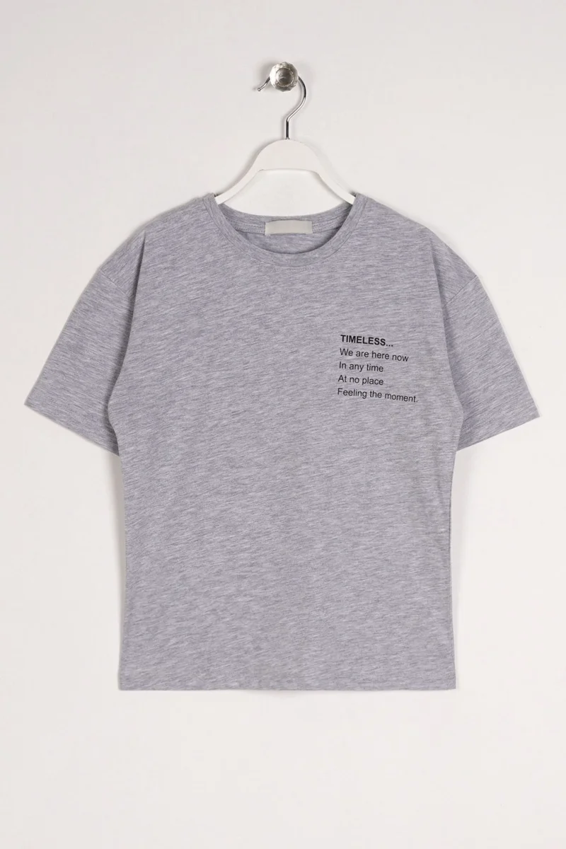 Zepkids Boy Grey Melange Color Timeless Printed T-Shirt