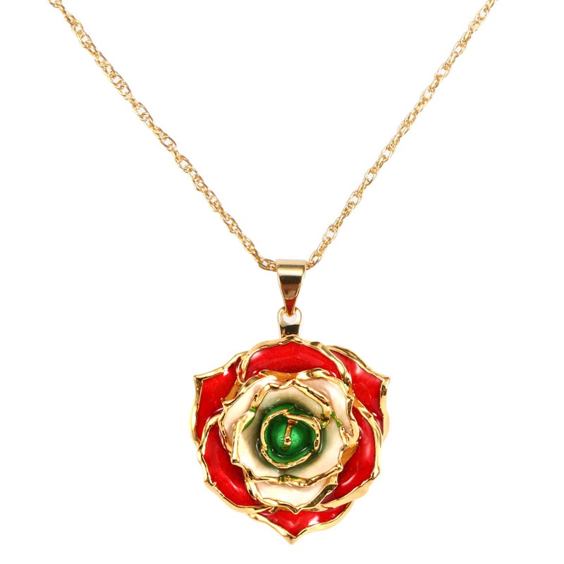 AliveRose Rose Pendant Necklaces Gifts for Women, 24K Gold Dipped Real Rose Dangle Necklace Jewelry - Ideal Gift for Her Wife Mom Anniversaries, Valentines, Birthday, Christmas (Red Ivory Green) - Image 1