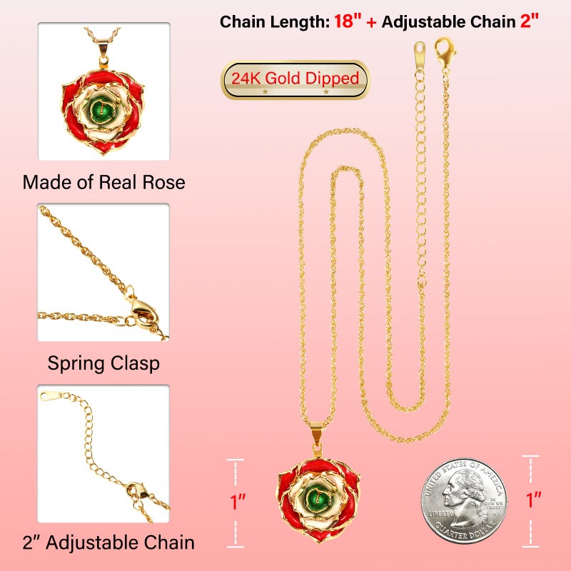 AliveRose Rose Pendant Necklaces Gifts for Women, 24K Gold Dipped Real Rose Dangle Necklace Jewelry - Ideal Gift for Her Wife Mom Anniversaries, Valentines, Birthday, Christmas (Red Ivory Green) - Image 3