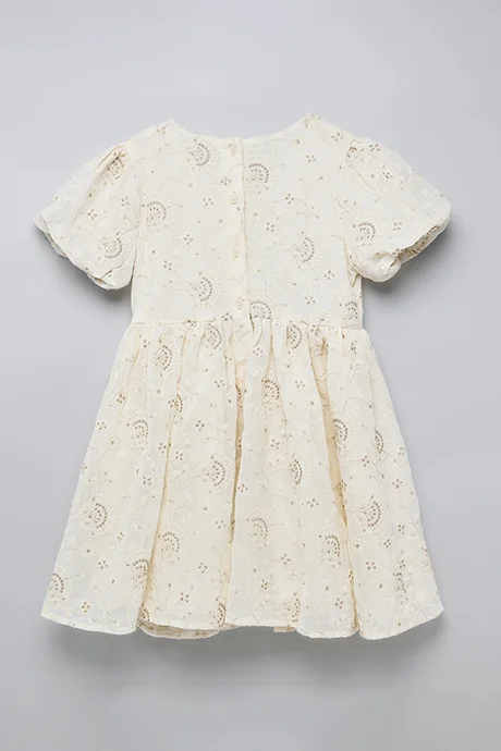 R&B Embroidered Dress with Crew Neck and Puff Sleeves