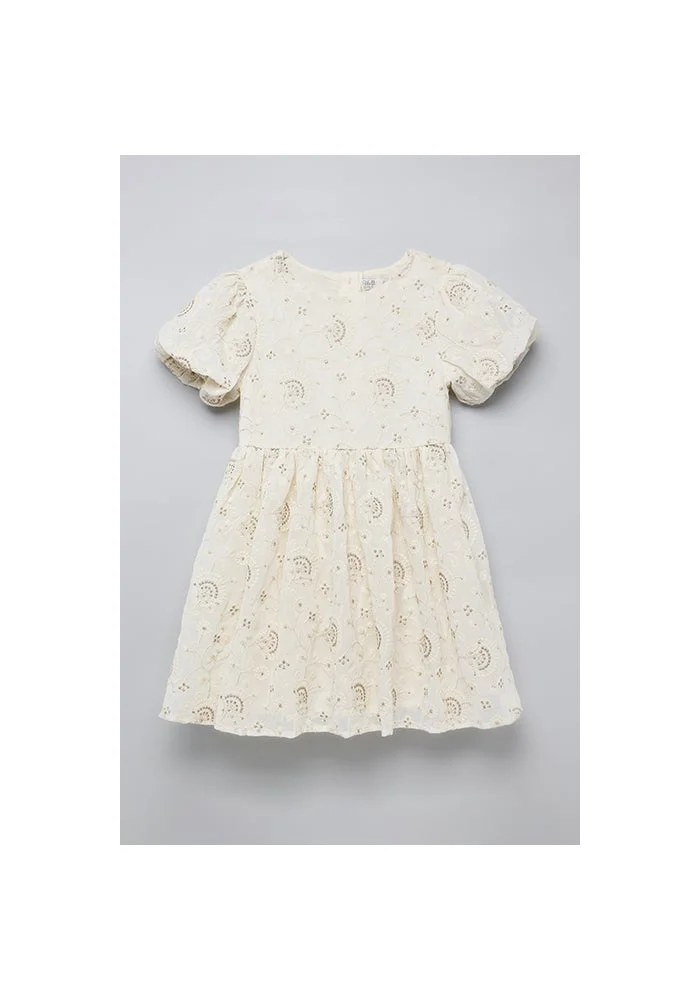 أر أند بي Embroidered Dress with Crew Neck and Puff Sleeves