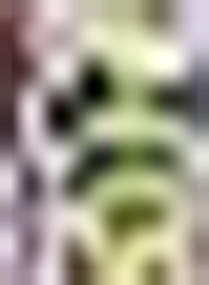 GGOOT 10pcs graines de laitue de chou Pour la Plantation de Jardin à la Maison à l'extérieur légumes sphériques Forte adaptabilité à croissance Rapide - Image 1