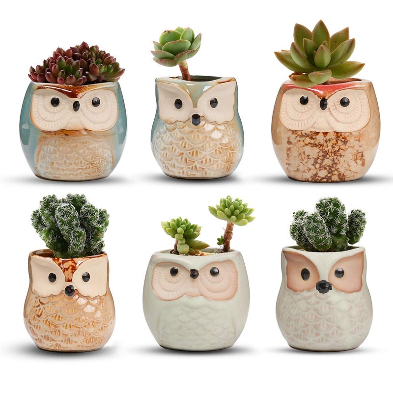 T4U 2.5 Inch Owl Ceramic Succulent Planter Pots with Drainage Hole Set of 6, Mini Cute Flower Pots Tiny Plant Holder Container Best for Home Office Garden Decoration Owl Gift Ideas - Image 1