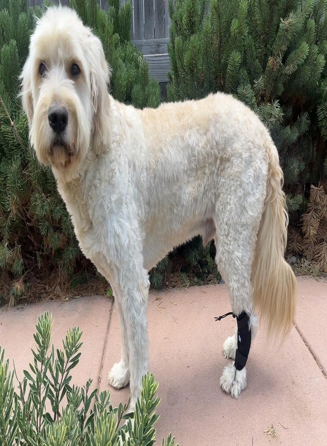 Labra Dog Canine Knuckling Corrector Toe Dragging Brace Wrap for Front or Rear Back Leg Paw - Image 4