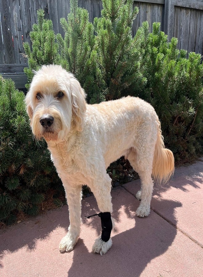 Labra Dog Canine Knuckling Corrector Toe Dragging Brace Wrap for Front or Rear Back Leg Paw - Image 5