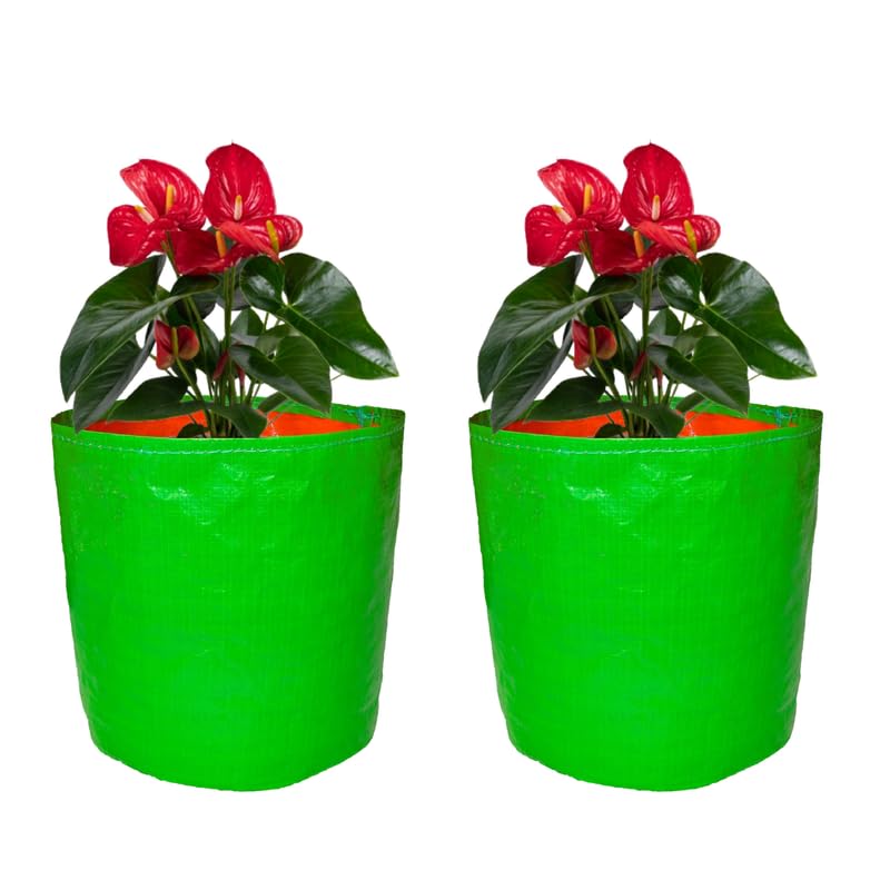 GroWonder Grow Bags 9x9 inches, Terrace Gardening Vegetable Planting Pots, HDPE Green Leafy Fruits Growing Containers-Pack of 2 - Image 1