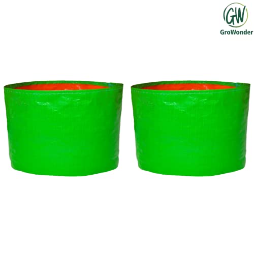 GroWonder Grow Bags 9x9 inches, Terrace Gardening Vegetable Planting Pots, HDPE Green Leafy Fruits Growing Containers-Pack of 2 - Image 2