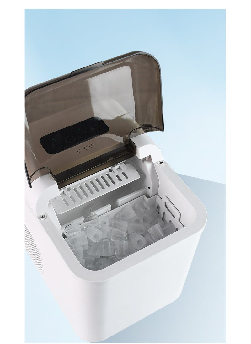 Multi functional ice maker