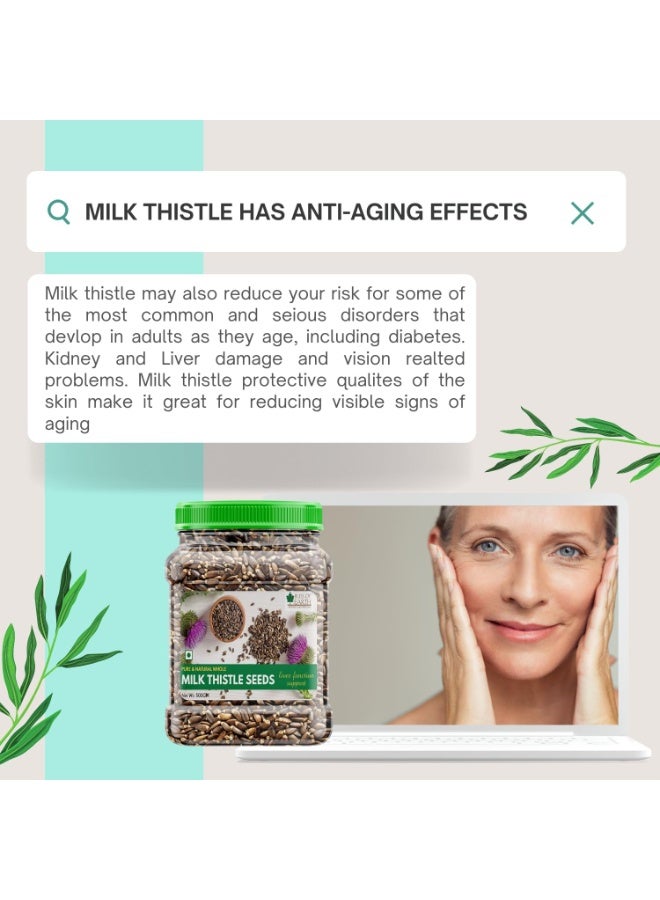 Bliss of Earth Milk Thistle Seeds 500gm Organic Super Food Great for Guts Health and Boost Immunity - Image 5