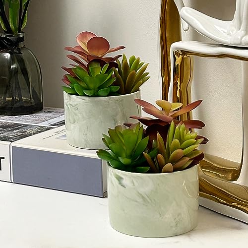 Karlliu Artificial Plants Cute Colourful Succulents in Ceramic Planter Fake Plant Flowers Potted for Home Living Room Office Desk Decor Bathroom Bedroom Indoor Decoration - Image 5