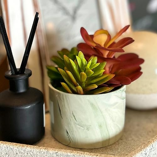 Karlliu Artificial Plants Cute Colourful Succulents in Ceramic Planter Fake Plant Flowers Potted for Home Living Room Office Desk Decor Bathroom Bedroom Indoor Decoration - Image 4