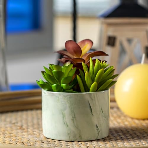 Karlliu Artificial Plants Cute Colourful Succulents in Ceramic Planter Fake Plant Flowers Potted for Home Living Room Office Desk Decor Bathroom Bedroom Indoor Decoration - Image 1