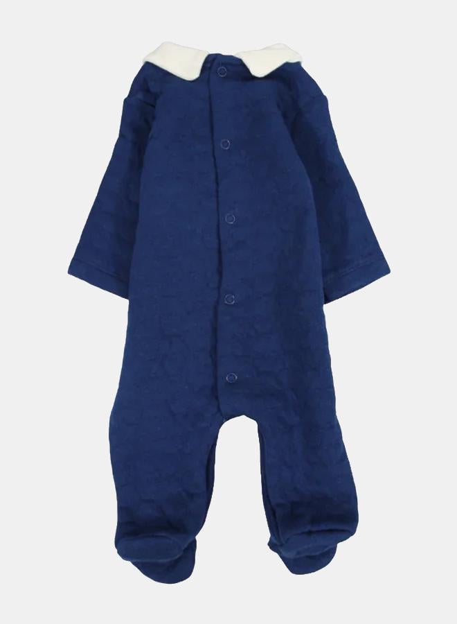 فوتي بيبي – تصميم دب ملكي - Image 2