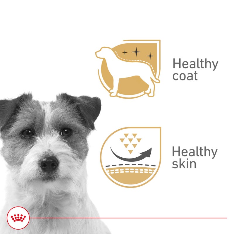 Royal Canin Canine Health Nutrition Adult Beauty Loaf in Sauce Dog Food, 5.2 oz (Pack of 24) - Image 2