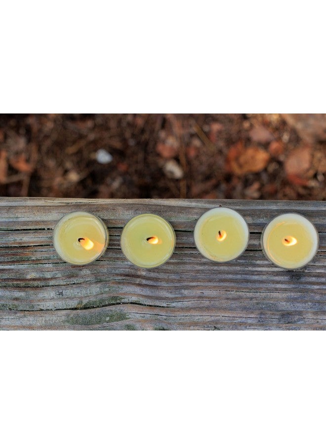 Mosquito Guard Mosquito Guard 16 Tealight Citronella Candles Outdoor Mosquito Repellent Indoors - DEET Free Mosquito Candles for Outside - Natural Mosquito Repellent Outdoor Patio Candle - Yard Bug Repellent Candle  - Image 5