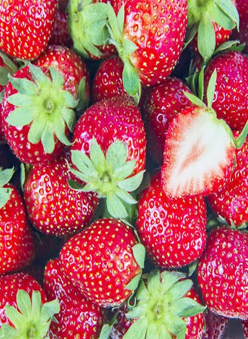 GGOOT 400pcs Red Fresh Non GMO Strawberry Seeds Known for Its Appearance Has Economic Value Necessary Fruit for Gardeners - Image 2
