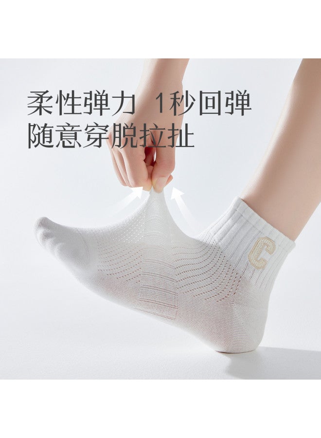 Fenton 6-pack Seamless Anti-odor Sports Low-cut Socks For Women - Summer Mesh Breathable Thin Socks - Image 5