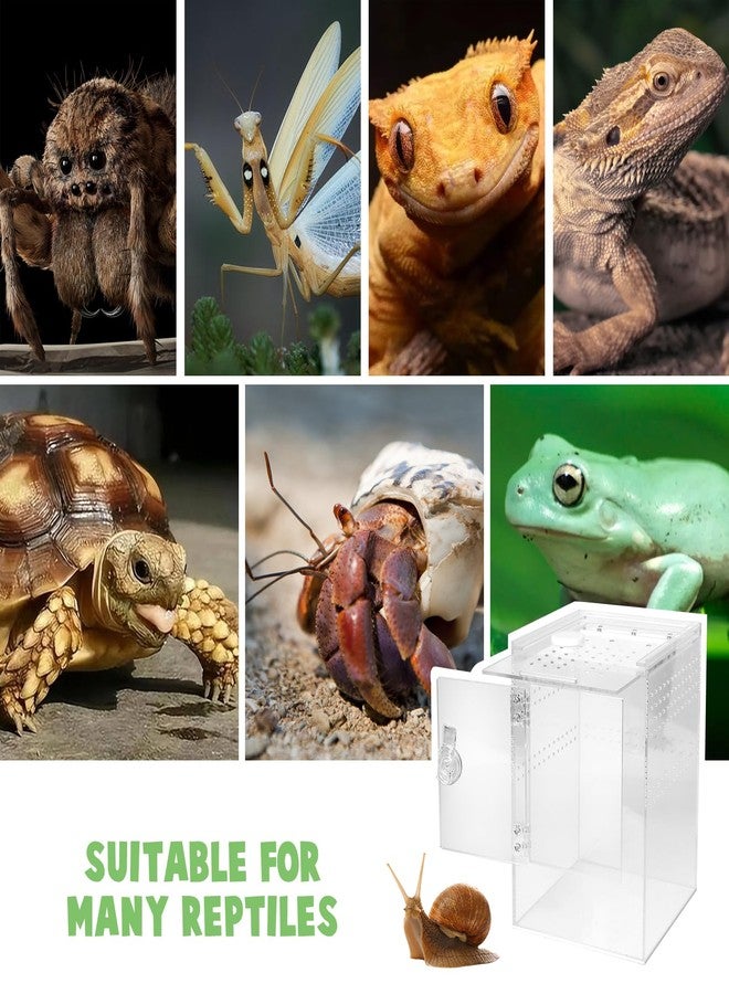 Smartang Front Opening Terrarium Jumping Spider Enclosure,Tall Arboreal Tarantula Enclosure Terrarium with Cross Ventilation,Waterproof Acrylic Reptile Enclosure (6 * 6 * 9inch) - Image 5