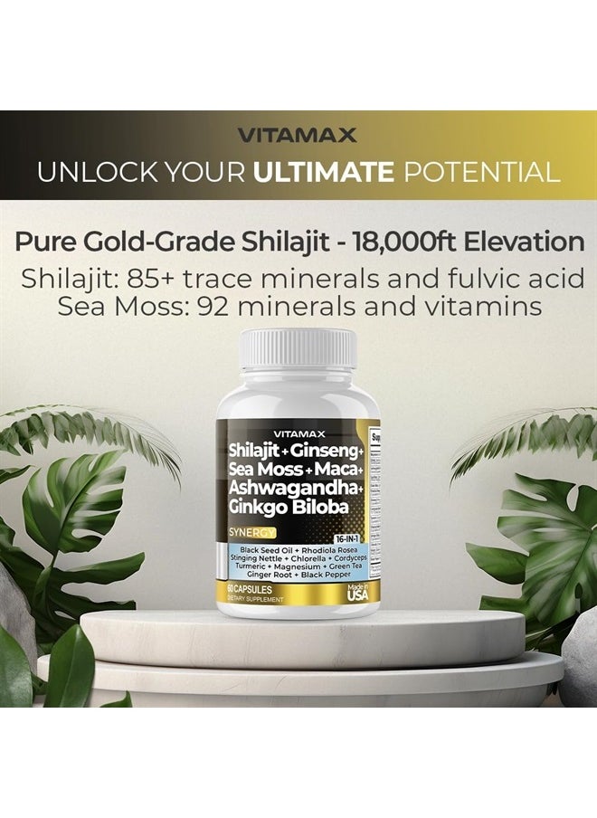 Vitamax - Pure Himalayan Shilajit Supplement 10,000mg Ashwagandha 6,000mg Sea Moss 2,000mg Rhodiola Rosea 1000MG Gingko Biloba 500mg Trace Mineral Capsules - Men and Women – Made in USA (60 Count (Pack of 1)) - Image 1