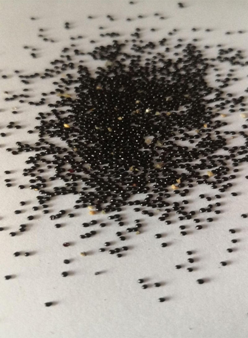 GGOOT 1 Bag Seeds Prolific Non GMO Viable High Yield Pineapple Seeds for Home Fruit Seeds Natural for Farm - Image 3