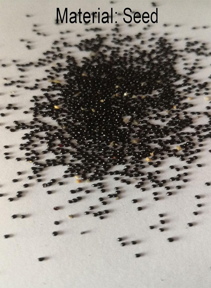 GGOOT 1 Bag Seeds Prolific Non GMO Viable High Yield Pineapple Seeds for Home Fruit Seeds Natural for Farm - Image 5