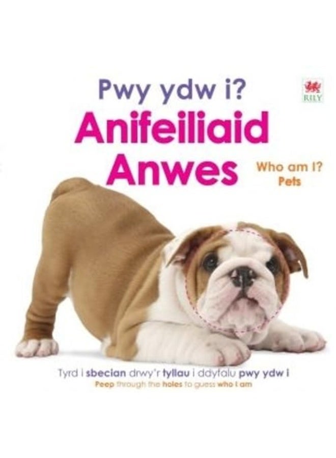 Pwy ydw i? Anifeiliaid Anwes / Who Am I? Pets 