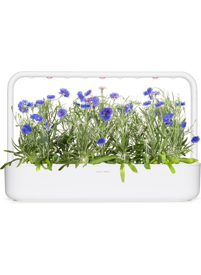 CLICK AND GROW أقراص نبات الذرة الزرقاء من كليك آند جرو، عبوة 3 قطع - Image 1