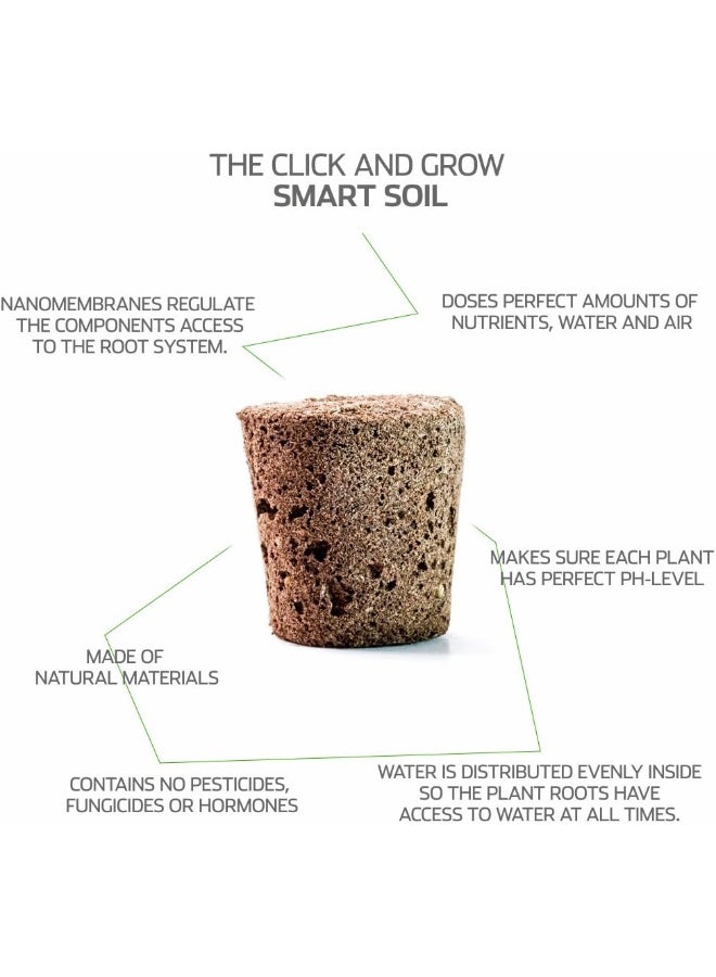 CLICK AND GROW أقراص نبات الذرة الزرقاء من كليك آند جرو، عبوة 3 قطع - Image 3